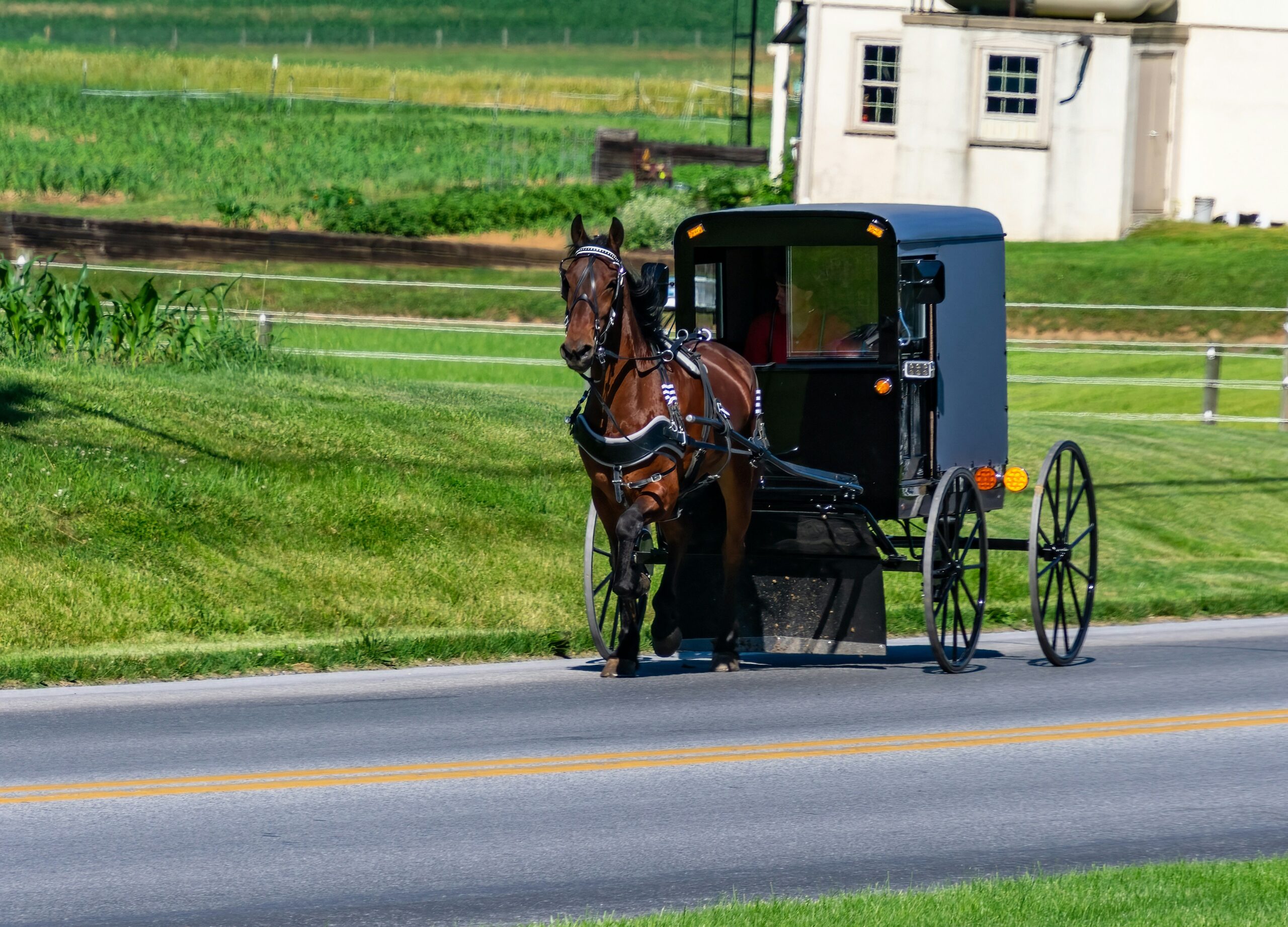 Beginner’s Guide to Amish Rough-Cut Lumber