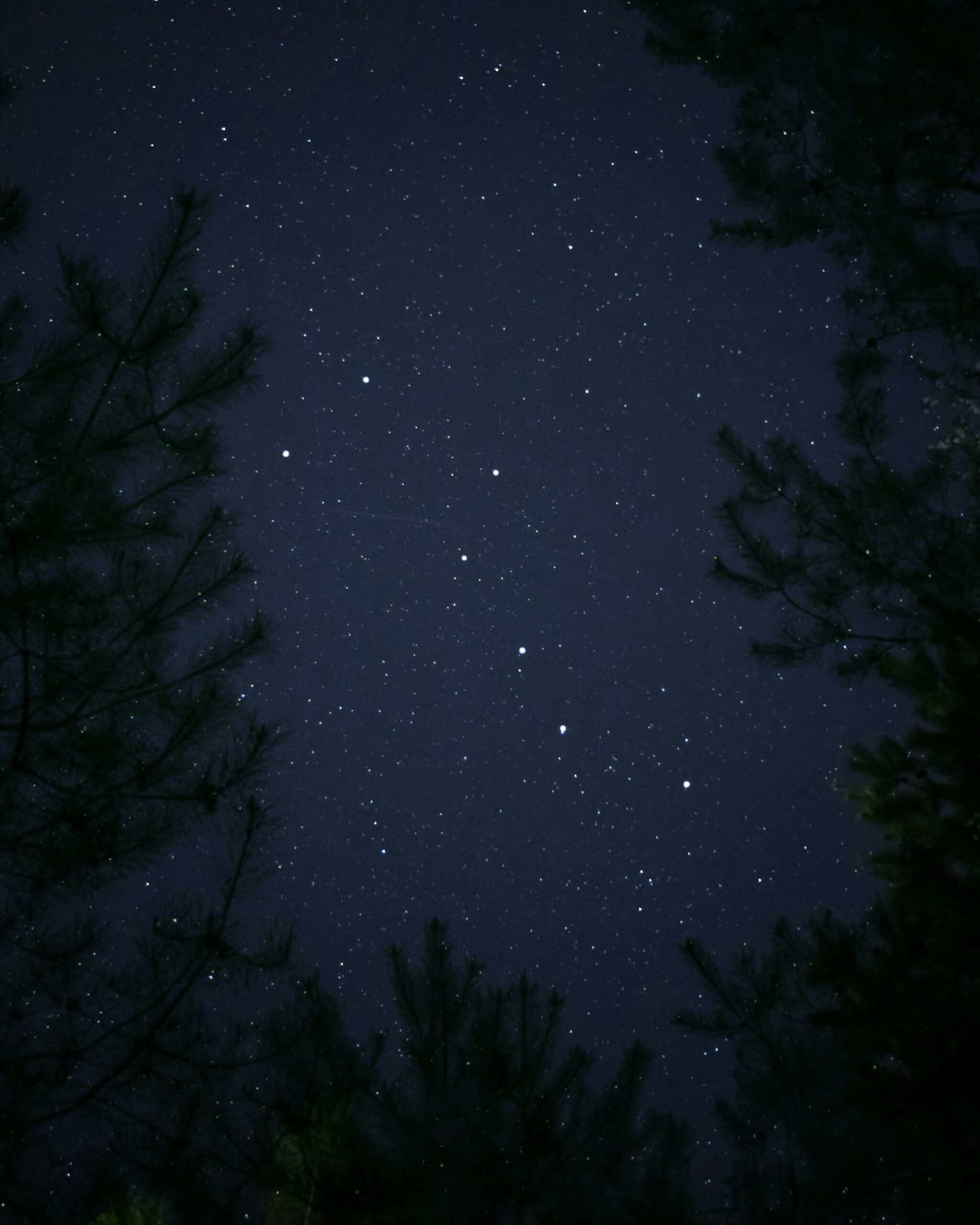 How to Build the Perfect Glampsite for Stargazing