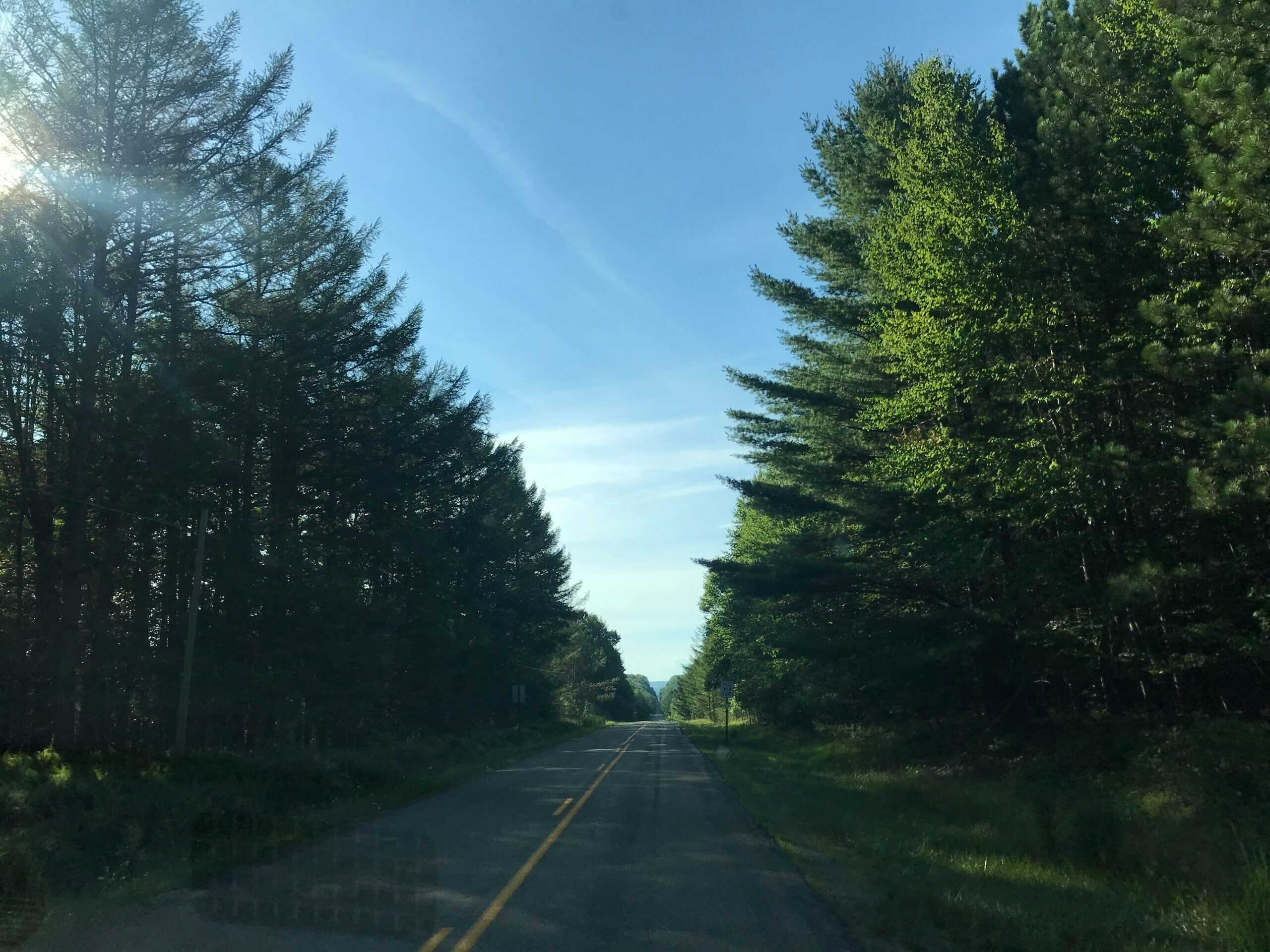 Exploring State Lands Near Birdsall, NY: What You Can Do & What to Know