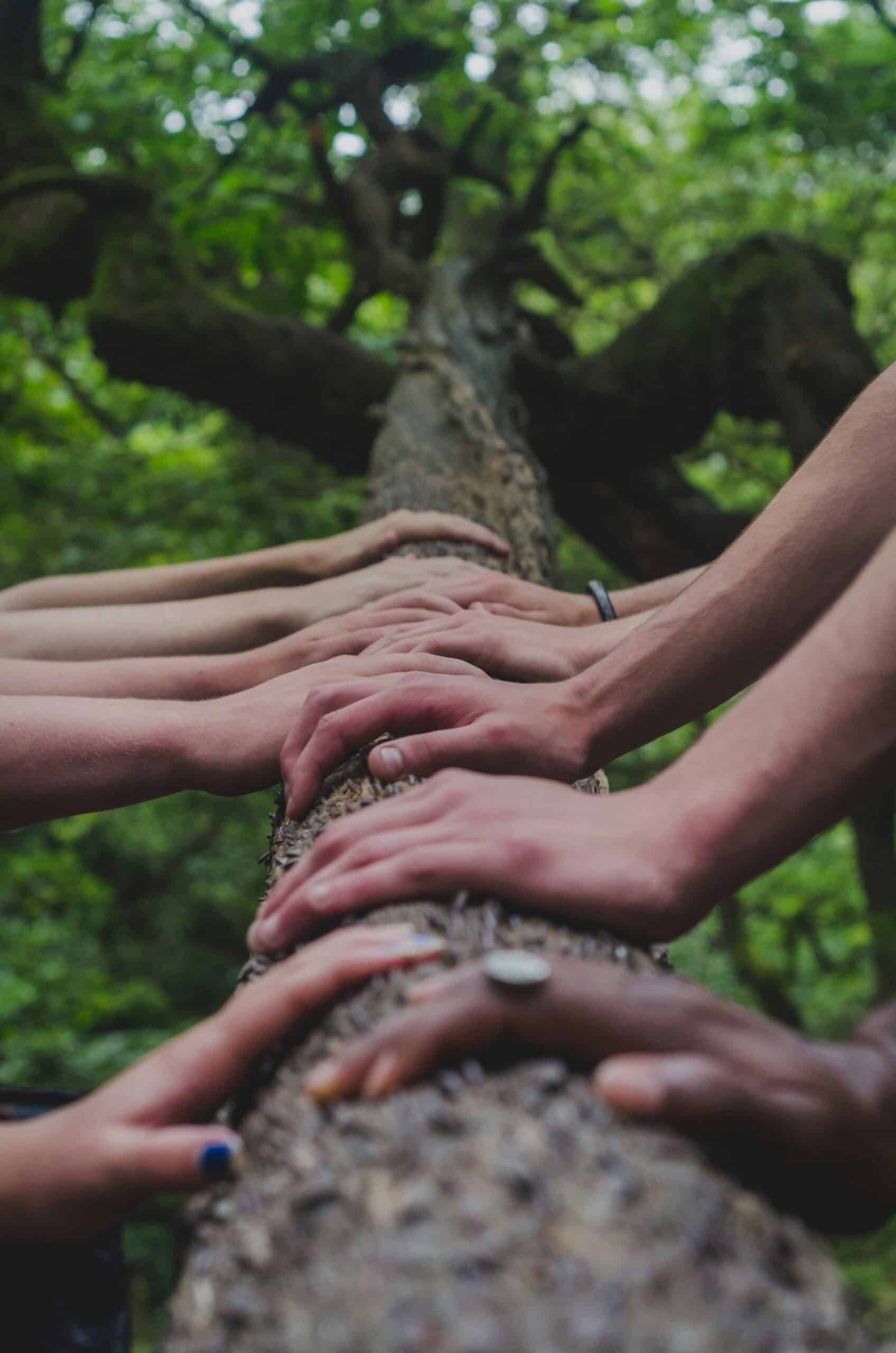 Working Together with Other Glamping Campsites in Your Area
